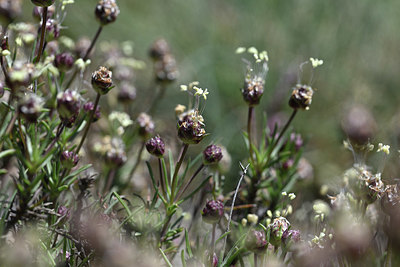 BUITEN BEELD Foto: 342833