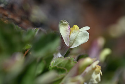 BUITEN BEELD Foto: 342851