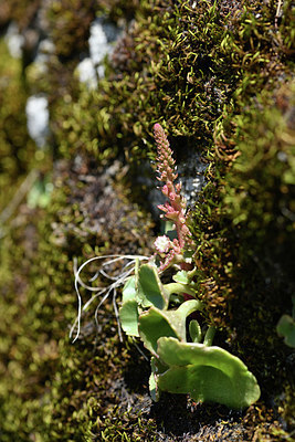 BUITEN BEELD Foto: 342868