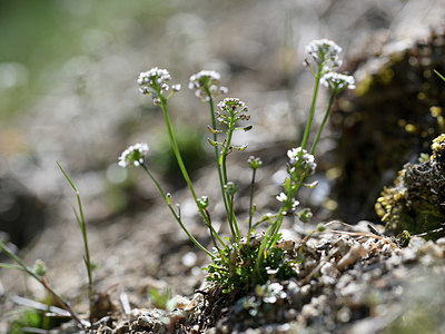 BUITEN BEELD Foto: 342873