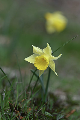 BUITEN BEELD Foto: 342894