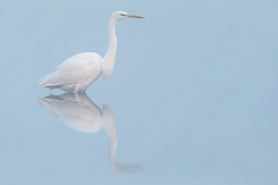 BUITEN BEELD Foto: 342927