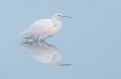 BUITEN BEELD Foto: 342928