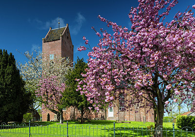 BUITEN BEELD Foto: 342951