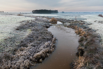 BUITEN BEELD Foto: 342980