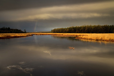 BUITEN BEELD Foto: 342982