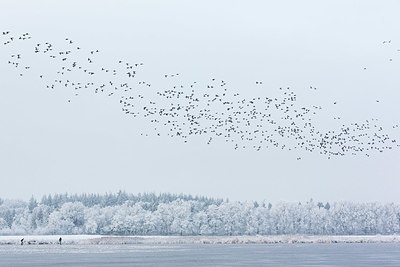 BUITEN BEELD Foto: 342983