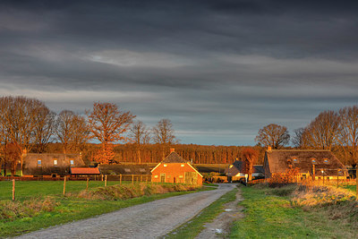 BUITEN BEELD Foto: 343002