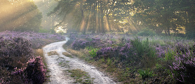 BUITEN BEELD Foto: 343046