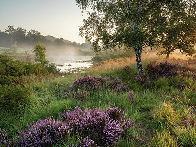 BUITEN BEELD Foto: 343047