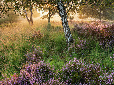 BUITEN BEELD Foto: 343049