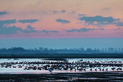 BUITEN BEELD Foto: 343061