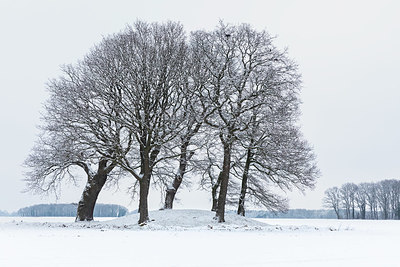 BUITEN BEELD Foto: 343062