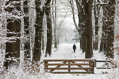 BUITEN BEELD Foto: 343065