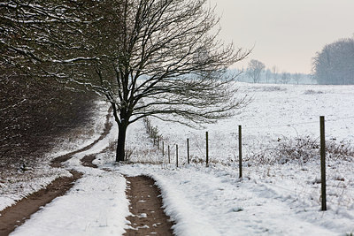 BUITEN BEELD Foto: 343081