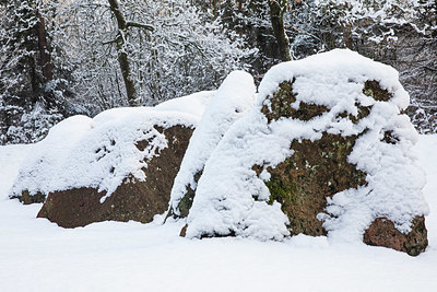 BUITEN BEELD Foto: 343084