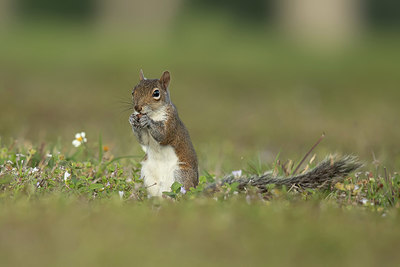 BUITEN BEELD Foto: 343138