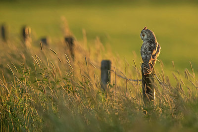 BUITEN BEELD Foto: 343152