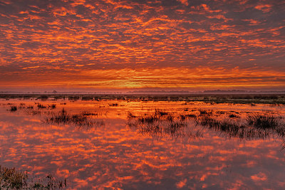 BUITEN BEELD Foto: 343173