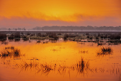 BUITEN BEELD Foto: 343175