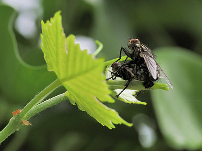 BUITEN BEELD Foto: 343231