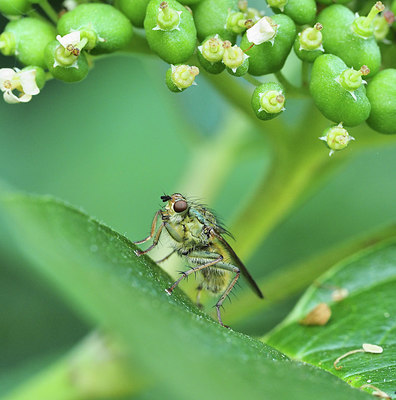 BUITEN BEELD Foto: 343232