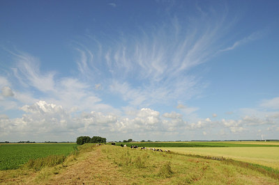 BUITEN BEELD Foto: 343264