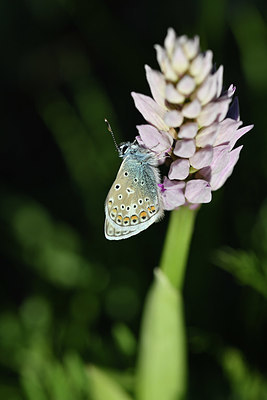 BUITEN BEELD Foto: 343557