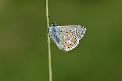 BUITEN BEELD Foto: 343567