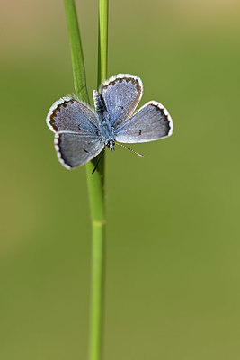BUITEN BEELD Foto: 343594