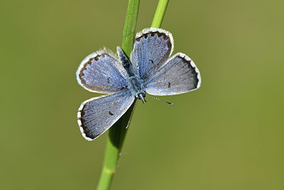 BUITEN BEELD Foto: 343595