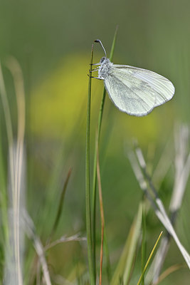 BUITEN BEELD Foto: 343600