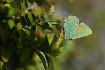 BUITEN BEELD Foto: 343613