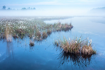 BUITEN BEELD Foto: 343621