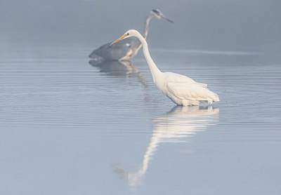 BUITEN BEELD Foto: 343636