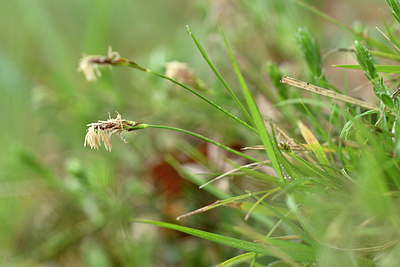 BUITEN BEELD Foto: 343669