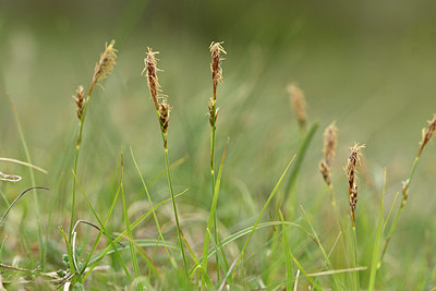 BUITEN BEELD Foto: 343700