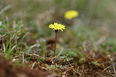 BUITEN BEELD Foto: 343724