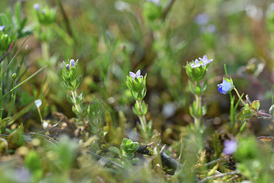 BUITEN BEELD Foto: 343741