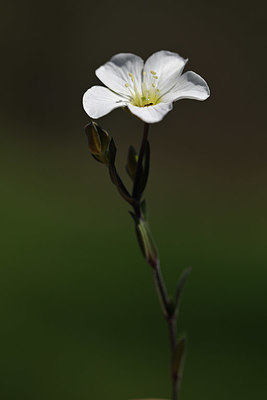 BUITEN BEELD Foto: 343757