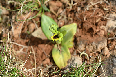 BUITEN BEELD Foto: 343784