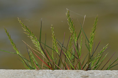 BUITEN BEELD Foto: 343786