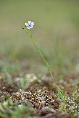 BUITEN BEELD Foto: 343789