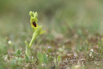 BUITEN BEELD Foto: 343797