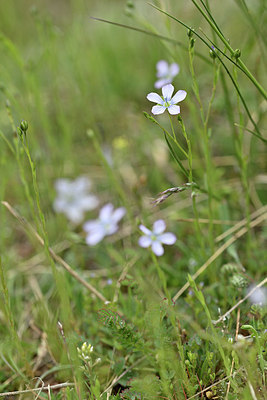 BUITEN BEELD Foto: 343800