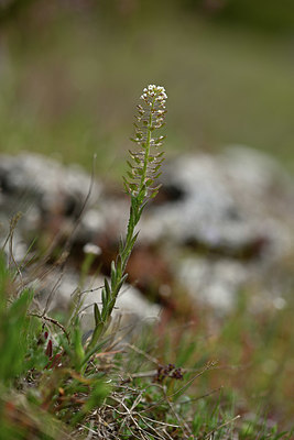 BUITEN BEELD Foto: 343802