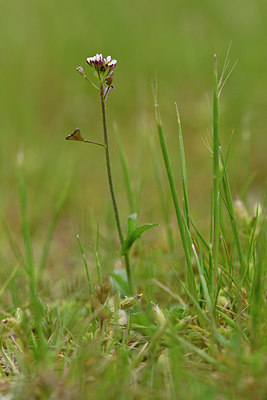 BUITEN BEELD Foto: 343817
