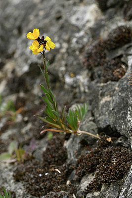 BUITEN BEELD Foto: 343842