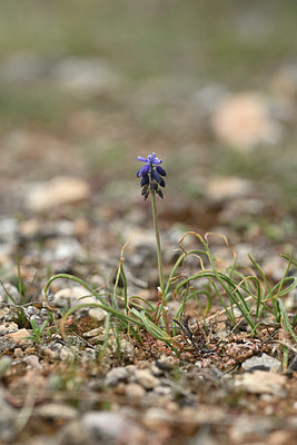 BUITEN BEELD Foto: 343857