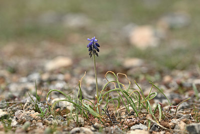 BUITEN BEELD Foto: 343858